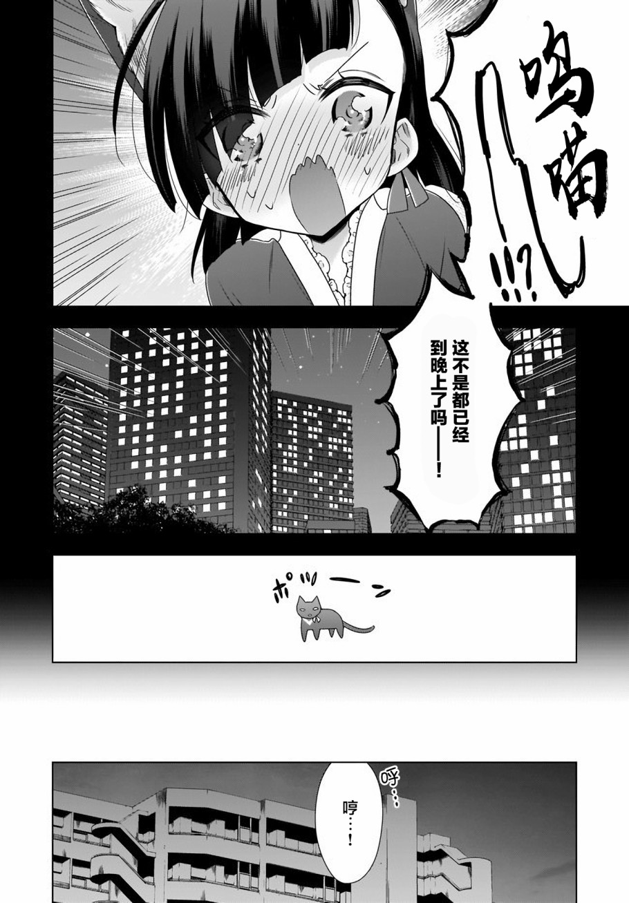 OL小姐与猫的故事韩漫全集-第06话无删减无遮挡章节图片 