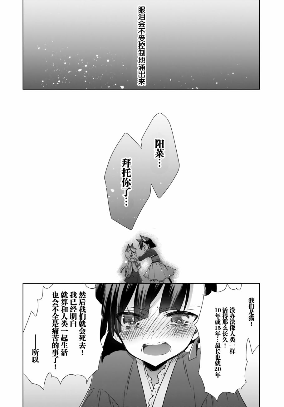 OL小姐与猫的故事韩漫全集-第09话无删减无遮挡章节图片 