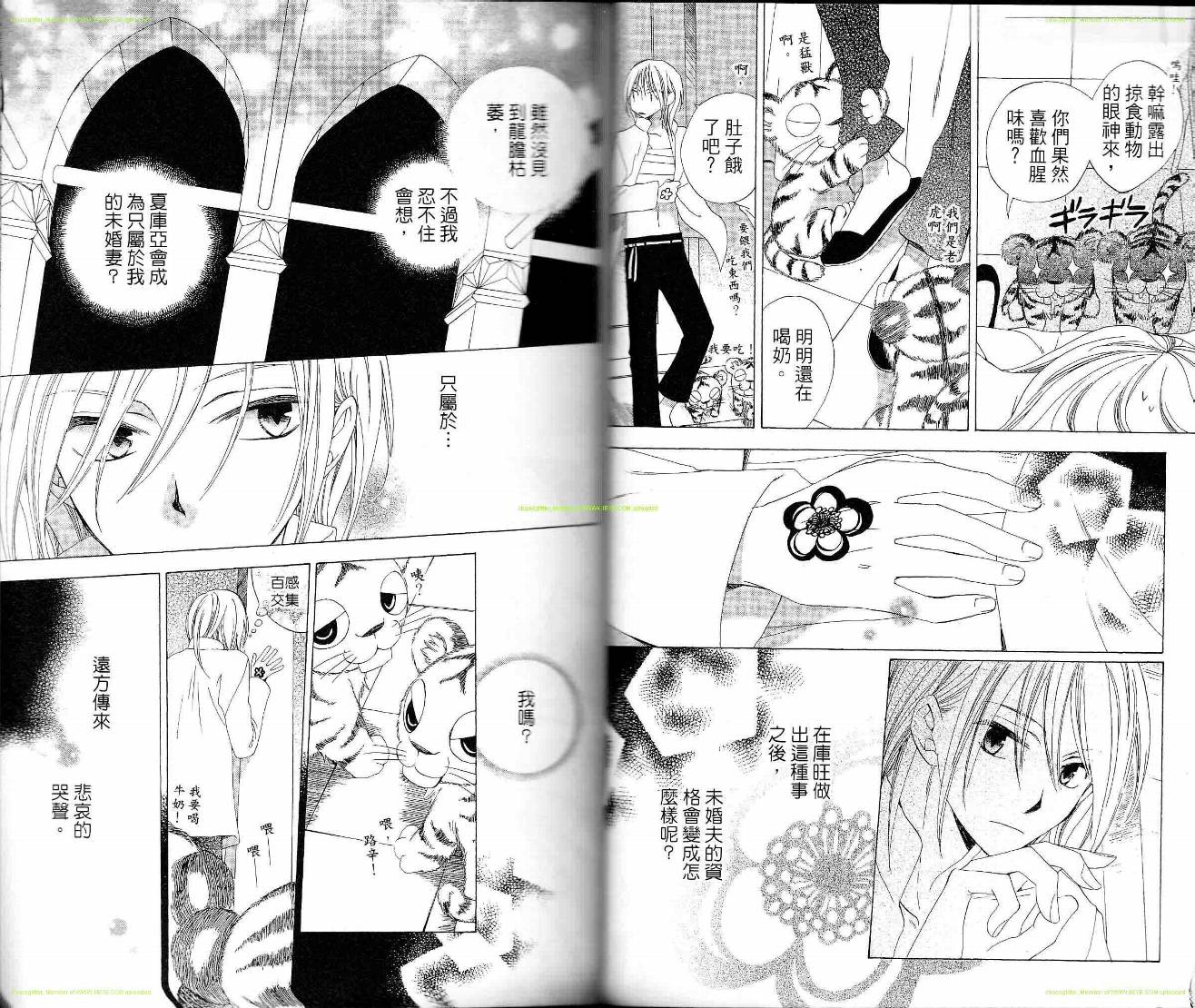 龙族花印记韩漫全集-第06卷无删减无遮挡章节图片 