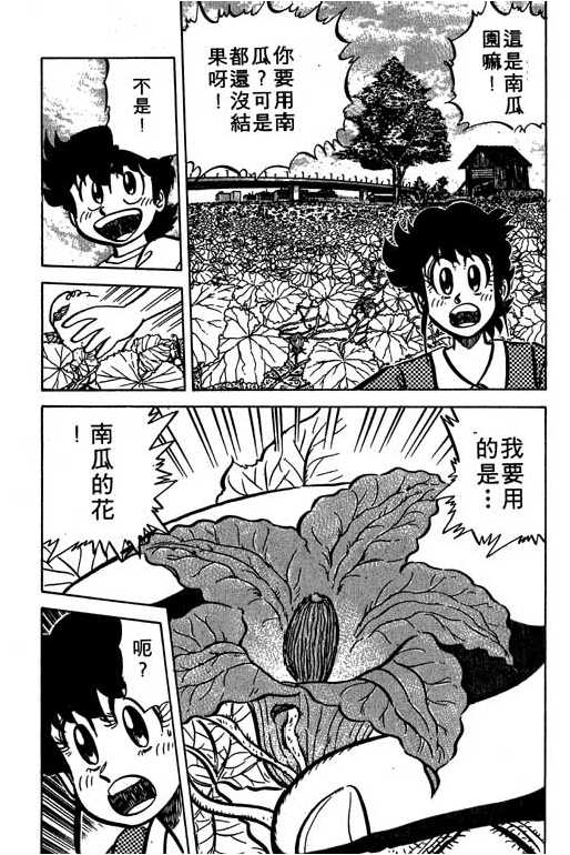 妙手小厨师韩漫全集-16无删减无遮挡章节图片 