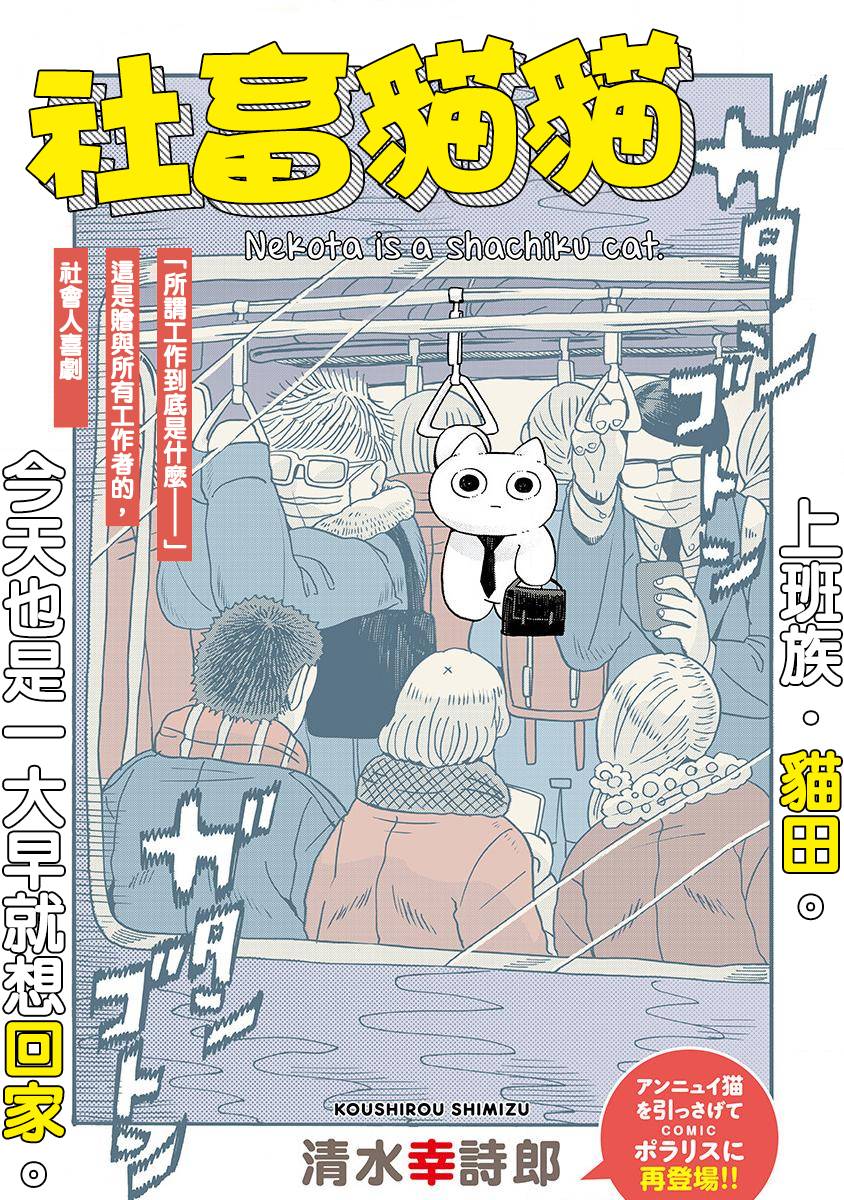 社畜猫猫韩漫全集-第01话无删减无遮挡章节图片 