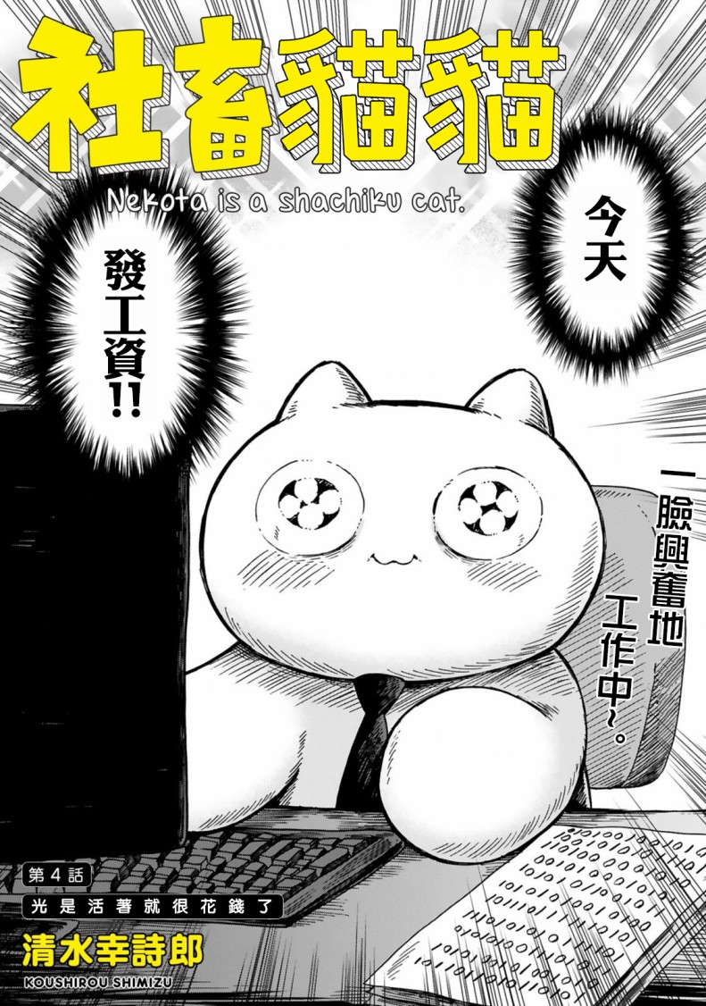 社畜猫猫韩漫全集-第04话无删减无遮挡章节图片 