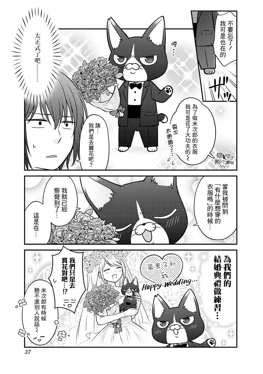 布吉猫韩漫全集-第08话无删减无遮挡章节图片 