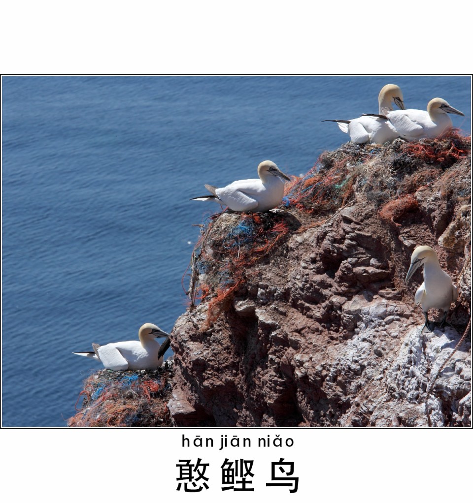 被海洋垃圾污染后的小美人鱼韩漫全集-第54话无删减无遮挡章节图片 