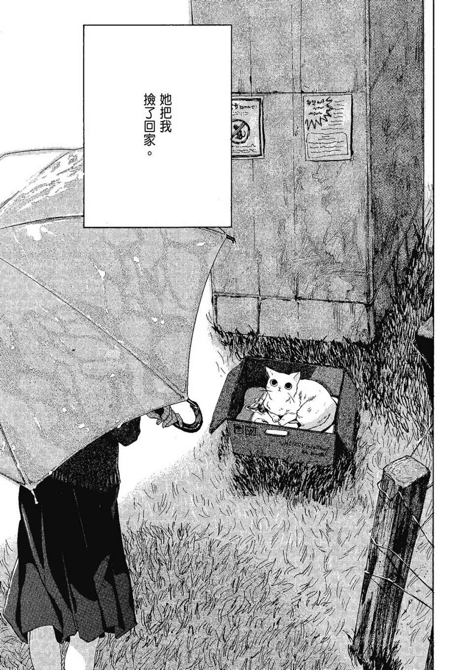 她和她的猫韩漫全集-全一卷无删减无遮挡章节图片 