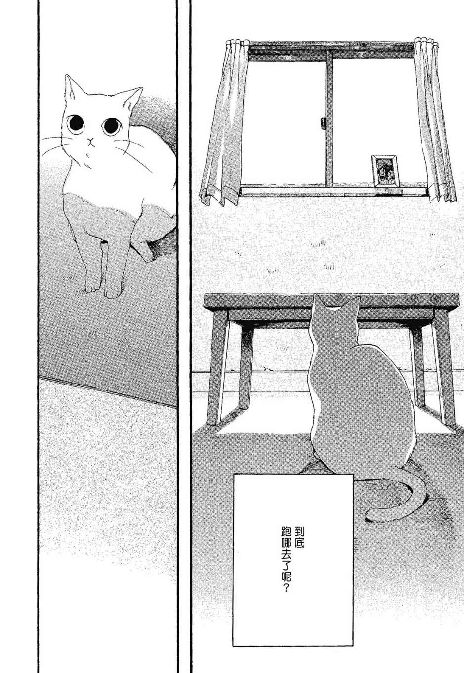 她和她的猫韩漫全集-全一卷无删减无遮挡章节图片 