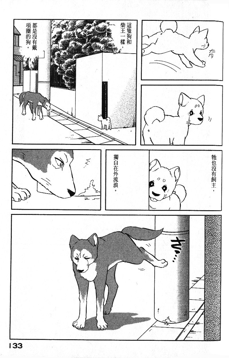 柴王韩漫全集-VOL01无删减无遮挡章节图片 