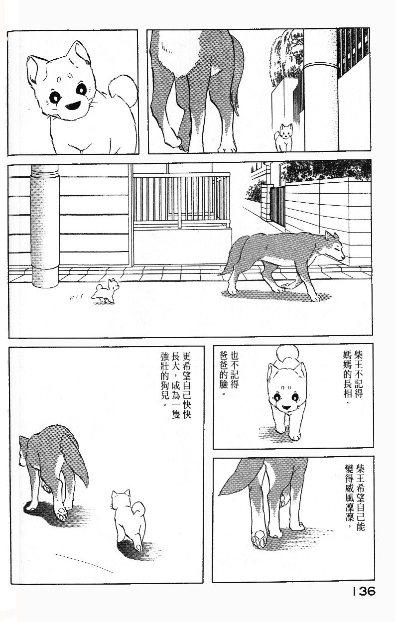 柴王韩漫全集-VOL01无删减无遮挡章节图片 