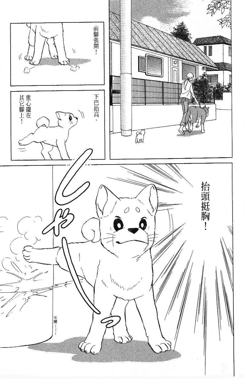 柴王韩漫全集-VOL01无删减无遮挡章节图片 