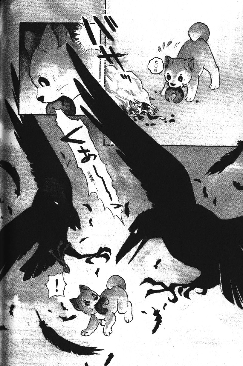 柴王韩漫全集-VOL01无删减无遮挡章节图片 