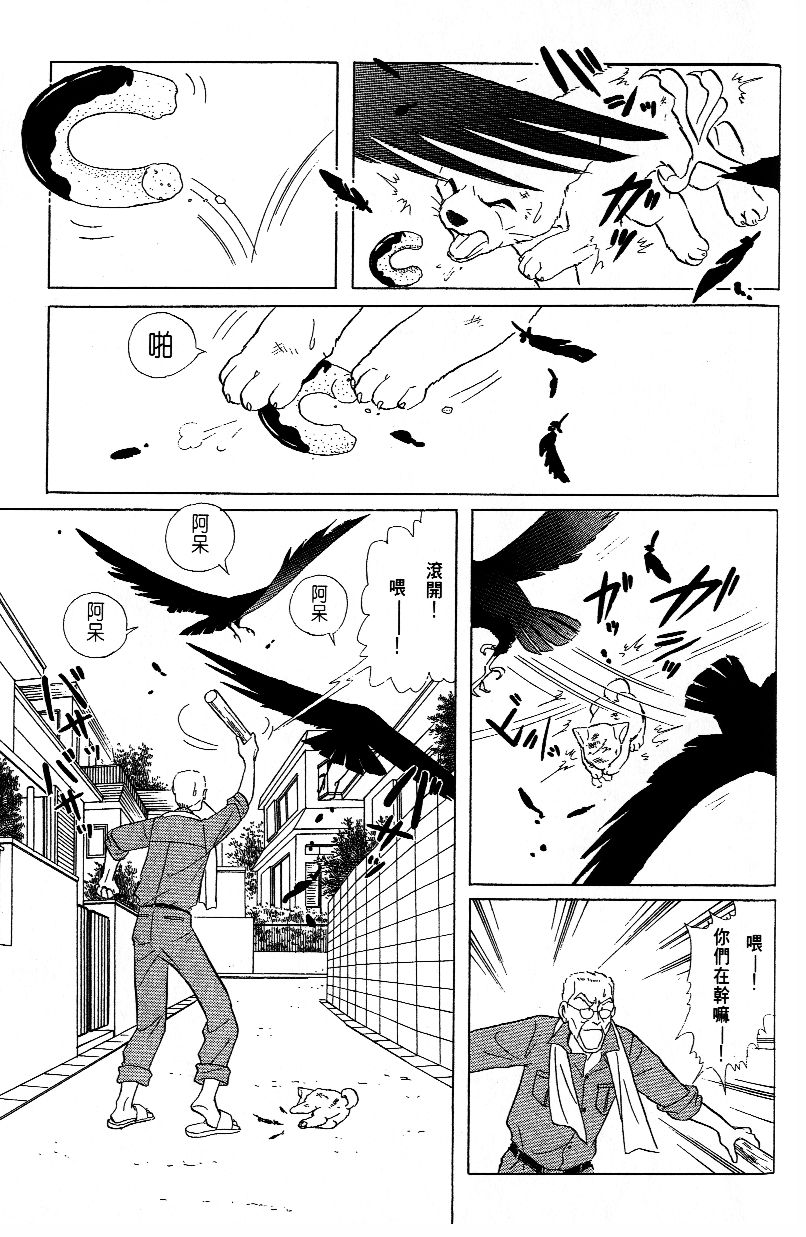 柴王韩漫全集-VOL01无删减无遮挡章节图片 