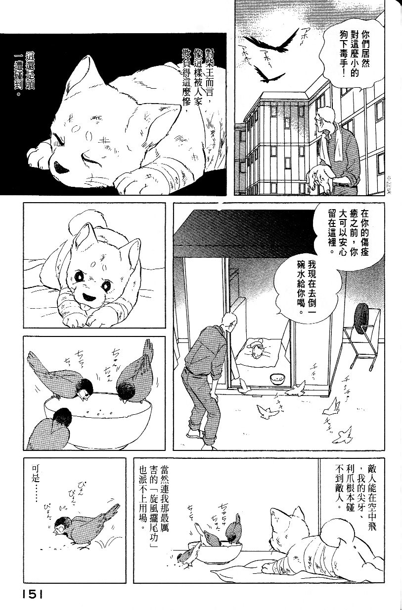 柴王韩漫全集-VOL01无删减无遮挡章节图片 