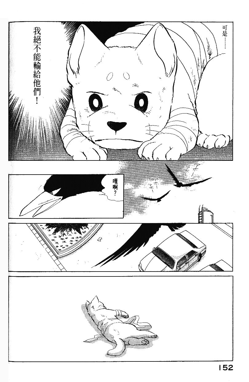 柴王韩漫全集-VOL01无删减无遮挡章节图片 