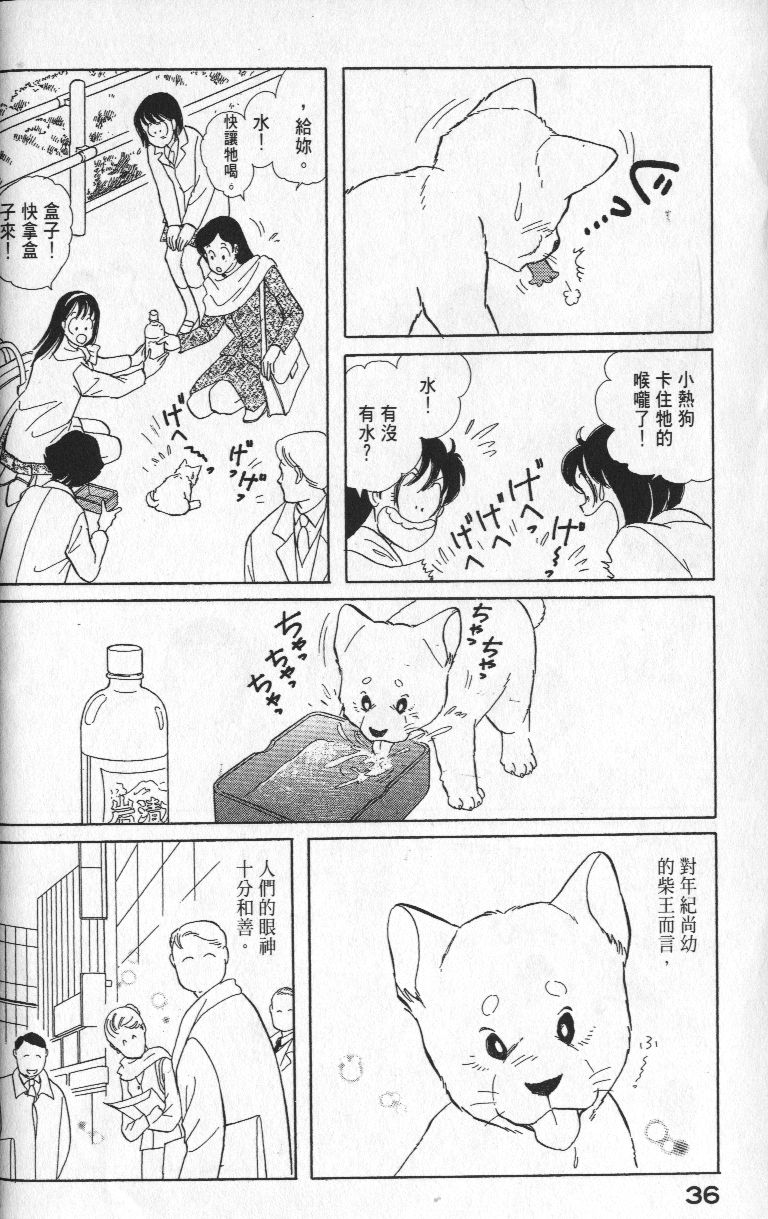 柴王韩漫全集-VOL01无删减无遮挡章节图片 