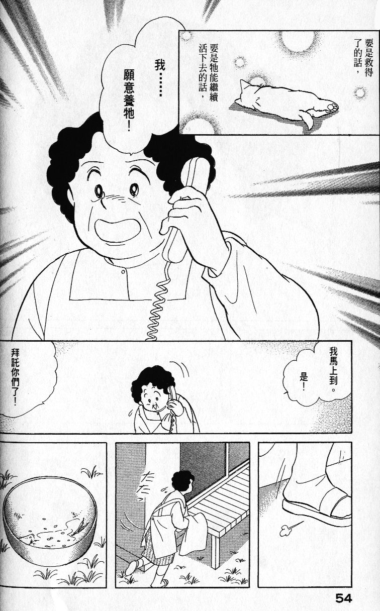 柴王韩漫全集-VOL01无删减无遮挡章节图片 