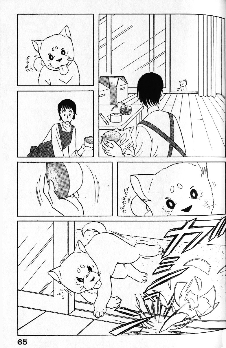 柴王韩漫全集-VOL01无删减无遮挡章节图片 