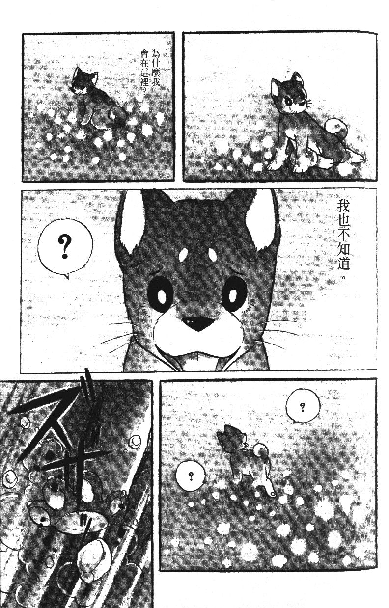 柴王韩漫全集-VOL02无删减无遮挡章节图片 