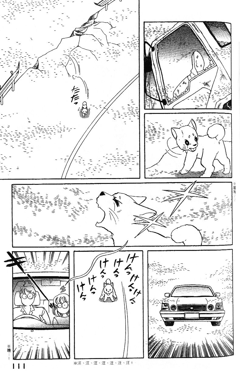 柴王韩漫全集-VOL02无删减无遮挡章节图片 