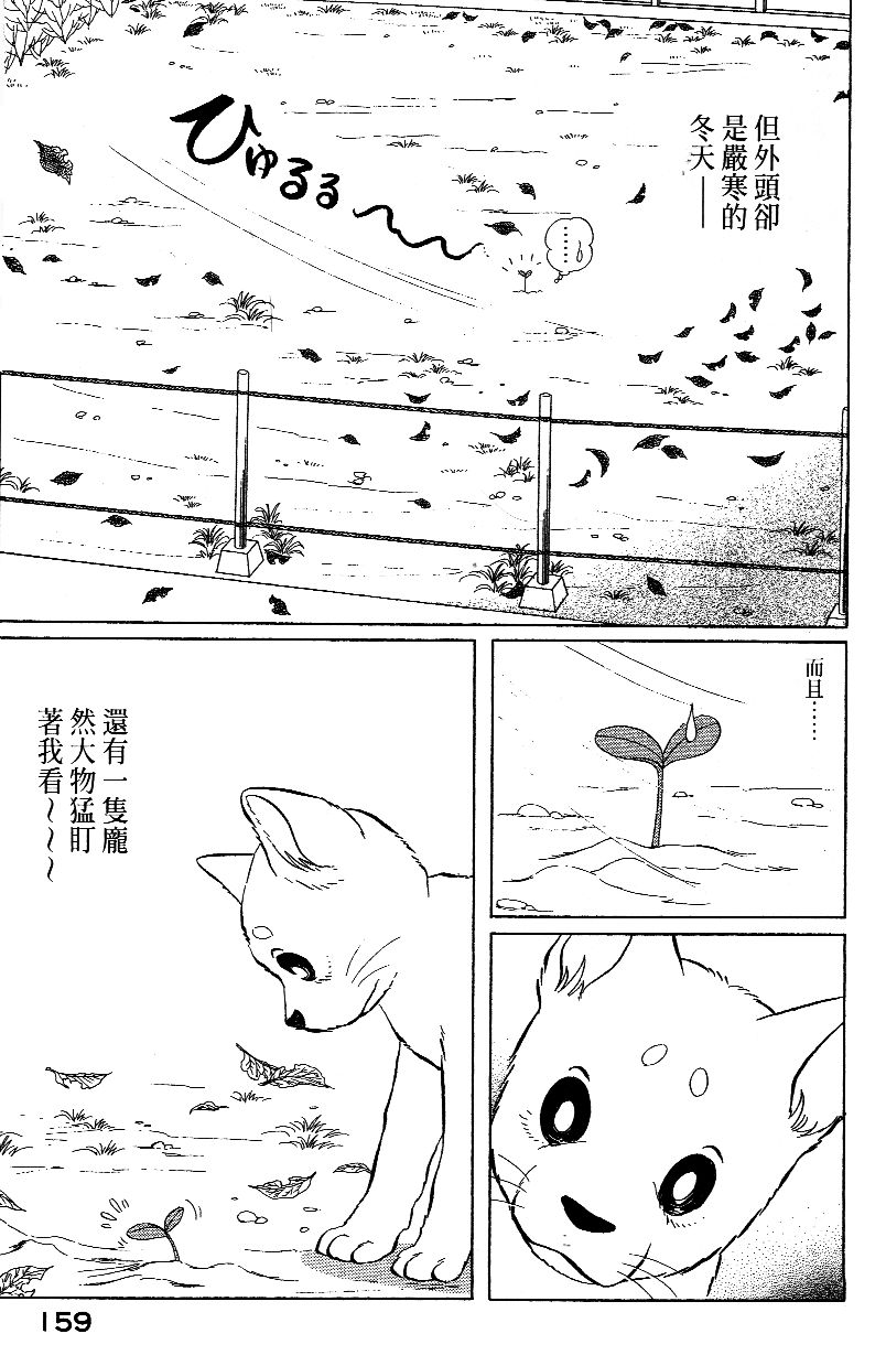 柴王韩漫全集-VOL02无删减无遮挡章节图片 