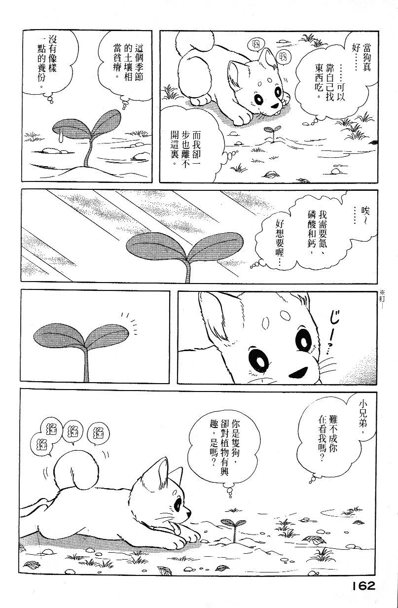 柴王韩漫全集-VOL02无删减无遮挡章节图片 