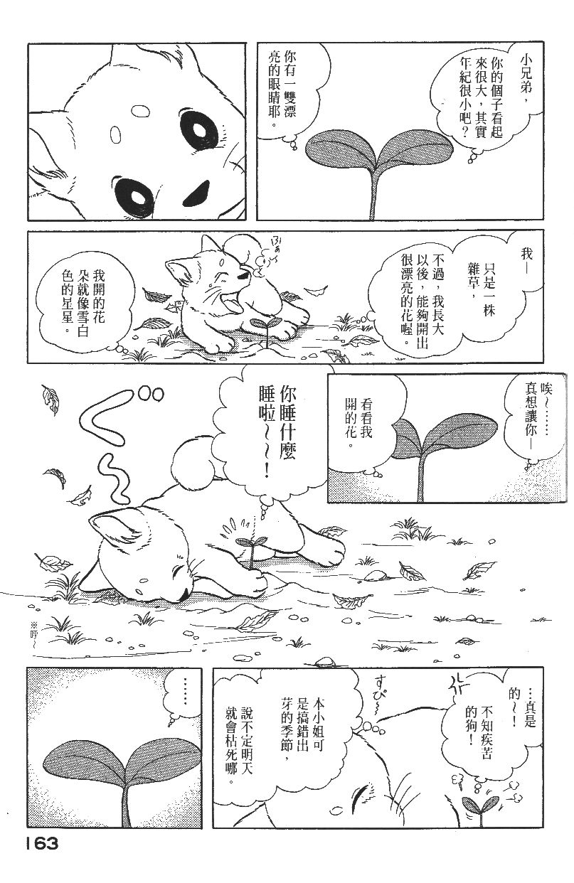 柴王韩漫全集-VOL02无删减无遮挡章节图片 