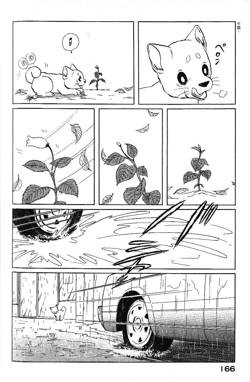 柴王韩漫全集-VOL02无删减无遮挡章节图片 