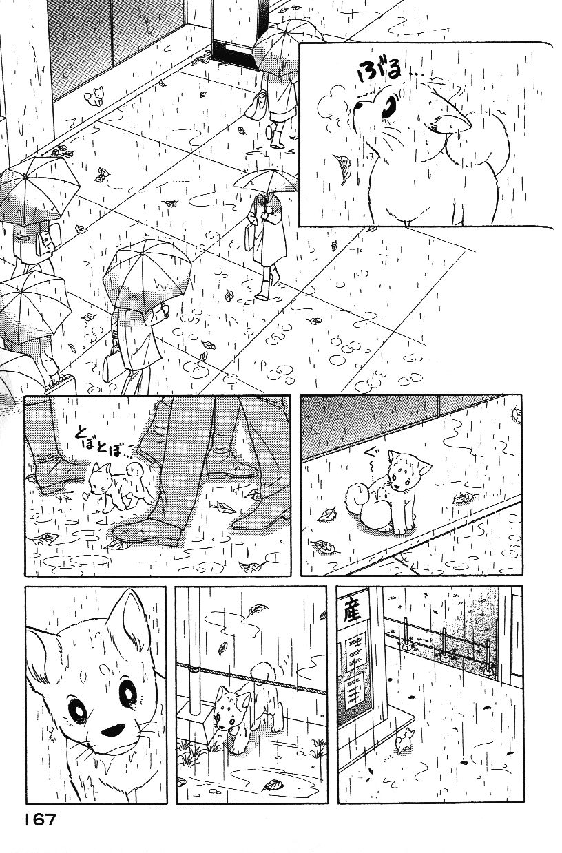柴王韩漫全集-VOL02无删减无遮挡章节图片 