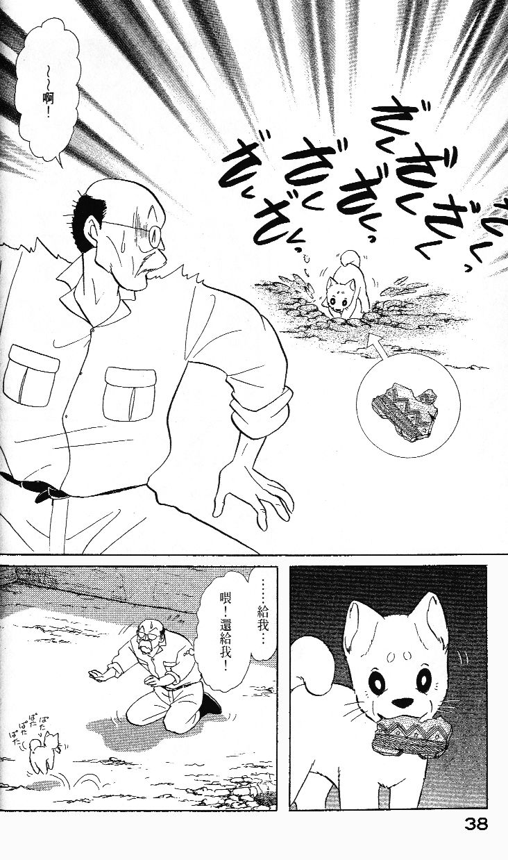 柴王韩漫全集-VOL02无删减无遮挡章节图片 