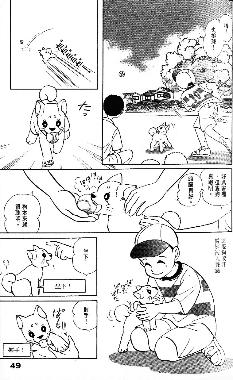 柴王韩漫全集-VOL02无删减无遮挡章节图片 