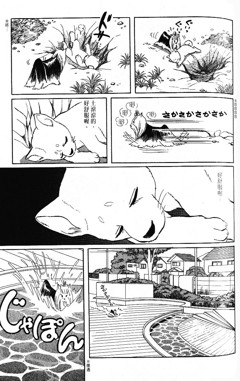 柴王韩漫全集-VOL02无删减无遮挡章节图片 