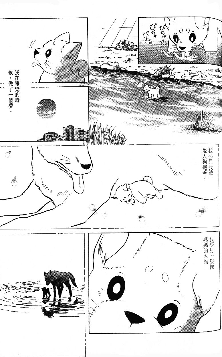 柴王韩漫全集-VOL02无删减无遮挡章节图片 