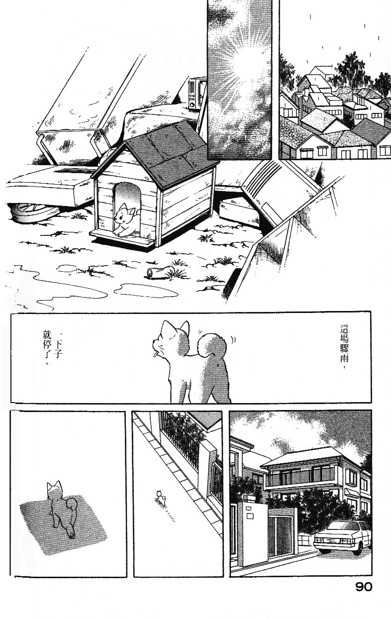 柴王韩漫全集-VOL02无删减无遮挡章节图片 