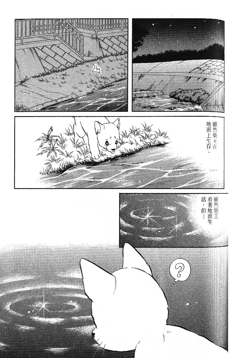 柴王韩漫全集-VOL03无删减无遮挡章节图片 