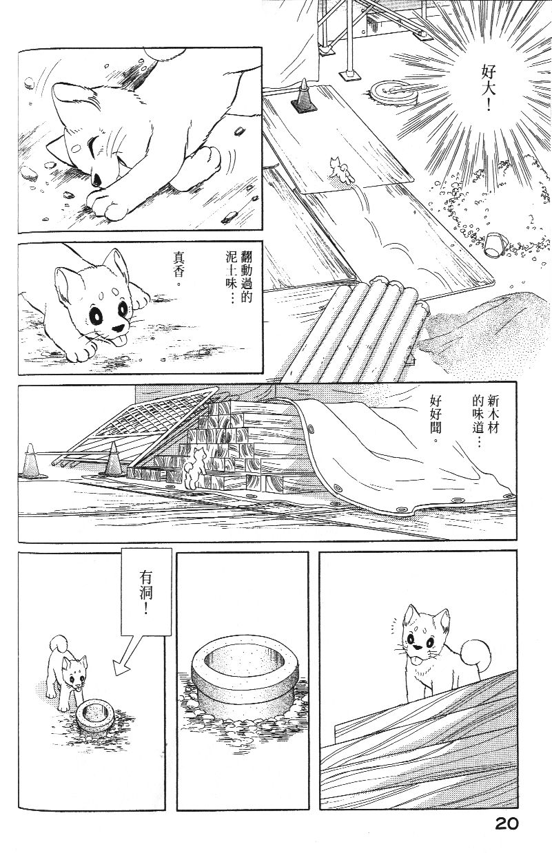 柴王韩漫全集-VOL03无删减无遮挡章节图片 