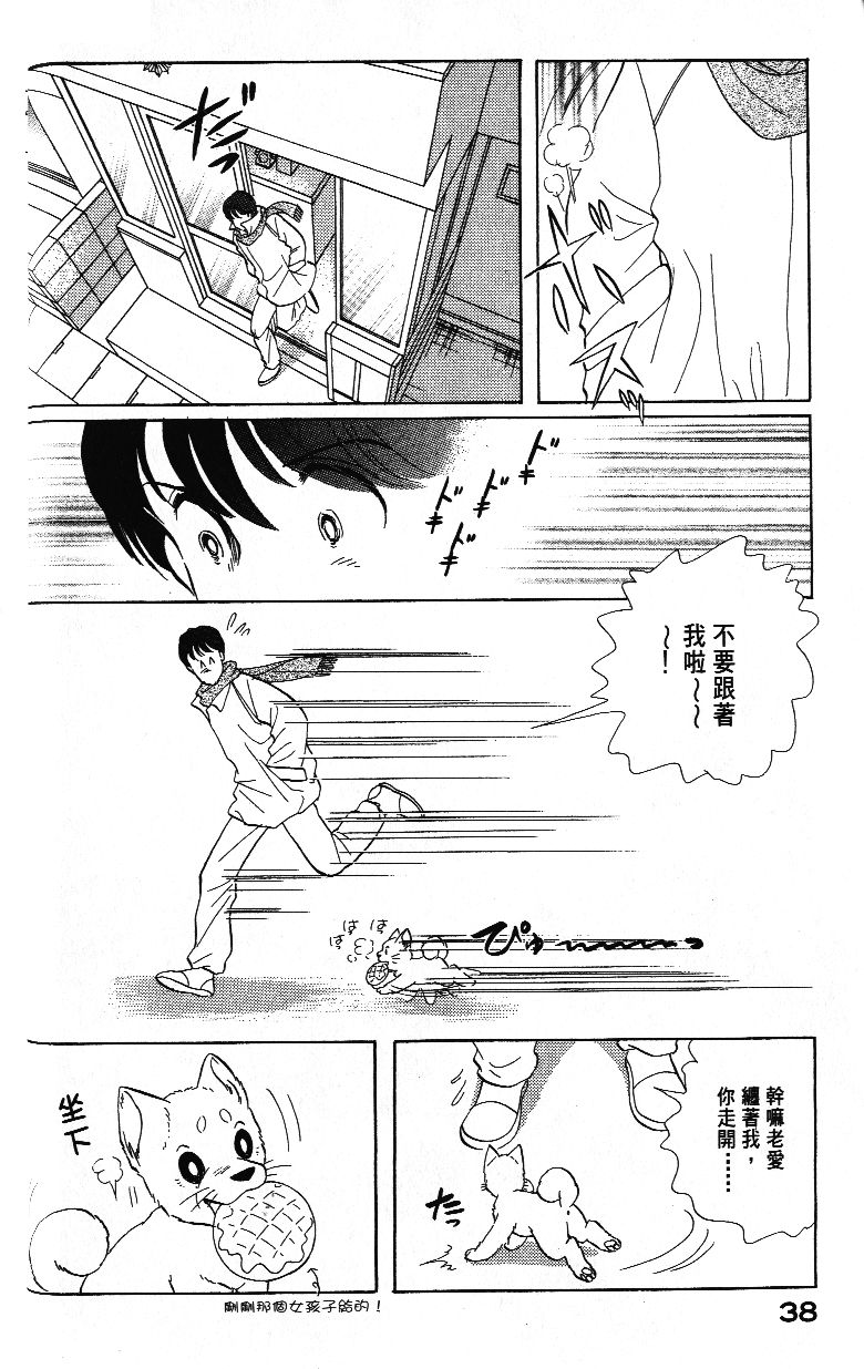 柴王韩漫全集-VOL03无删减无遮挡章节图片 