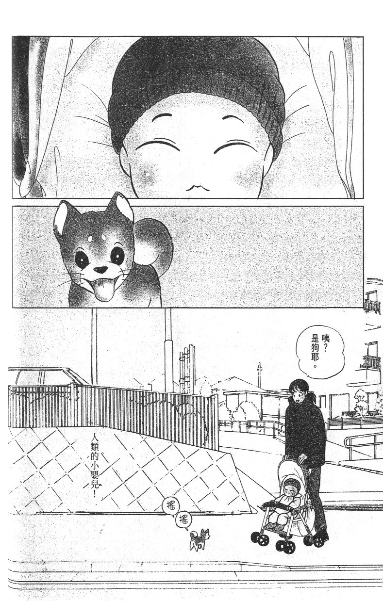 柴王韩漫全集-VOL03无删减无遮挡章节图片 