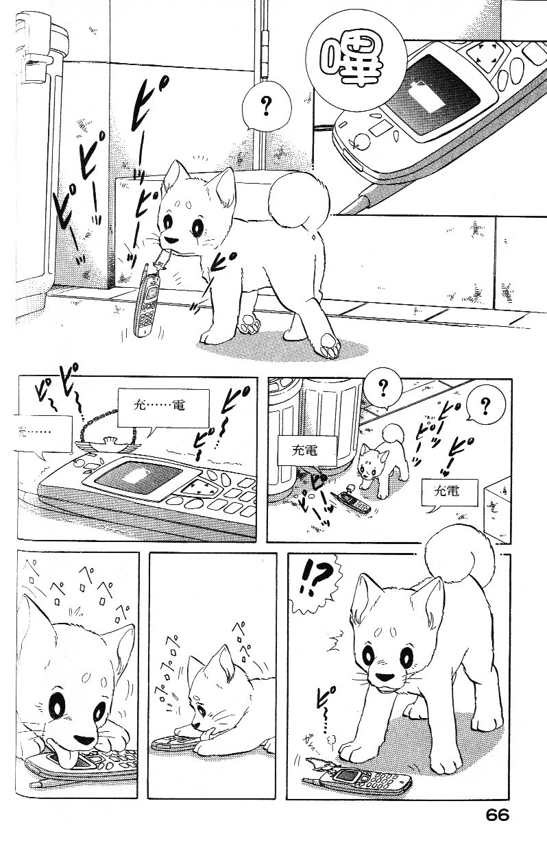 柴王韩漫全集-VOL03无删减无遮挡章节图片 