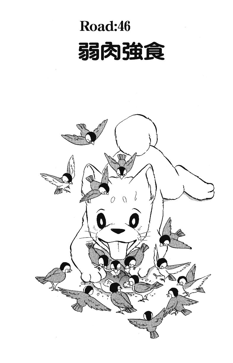 柴王韩漫全集-VOL04无删减无遮挡章节图片 