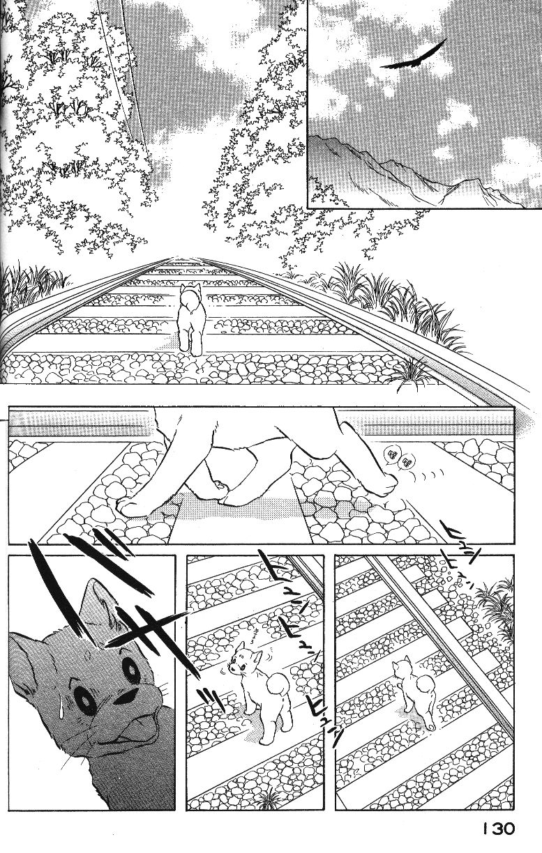 柴王韩漫全集-VOL04无删减无遮挡章节图片 