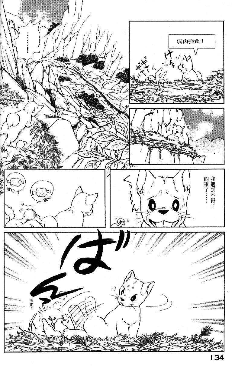 柴王韩漫全集-VOL04无删减无遮挡章节图片 