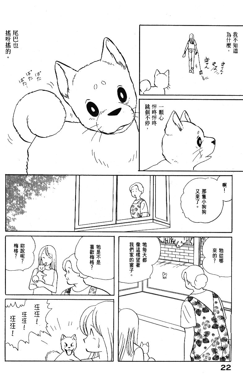 柴王韩漫全集-VOL04无删减无遮挡章节图片 
