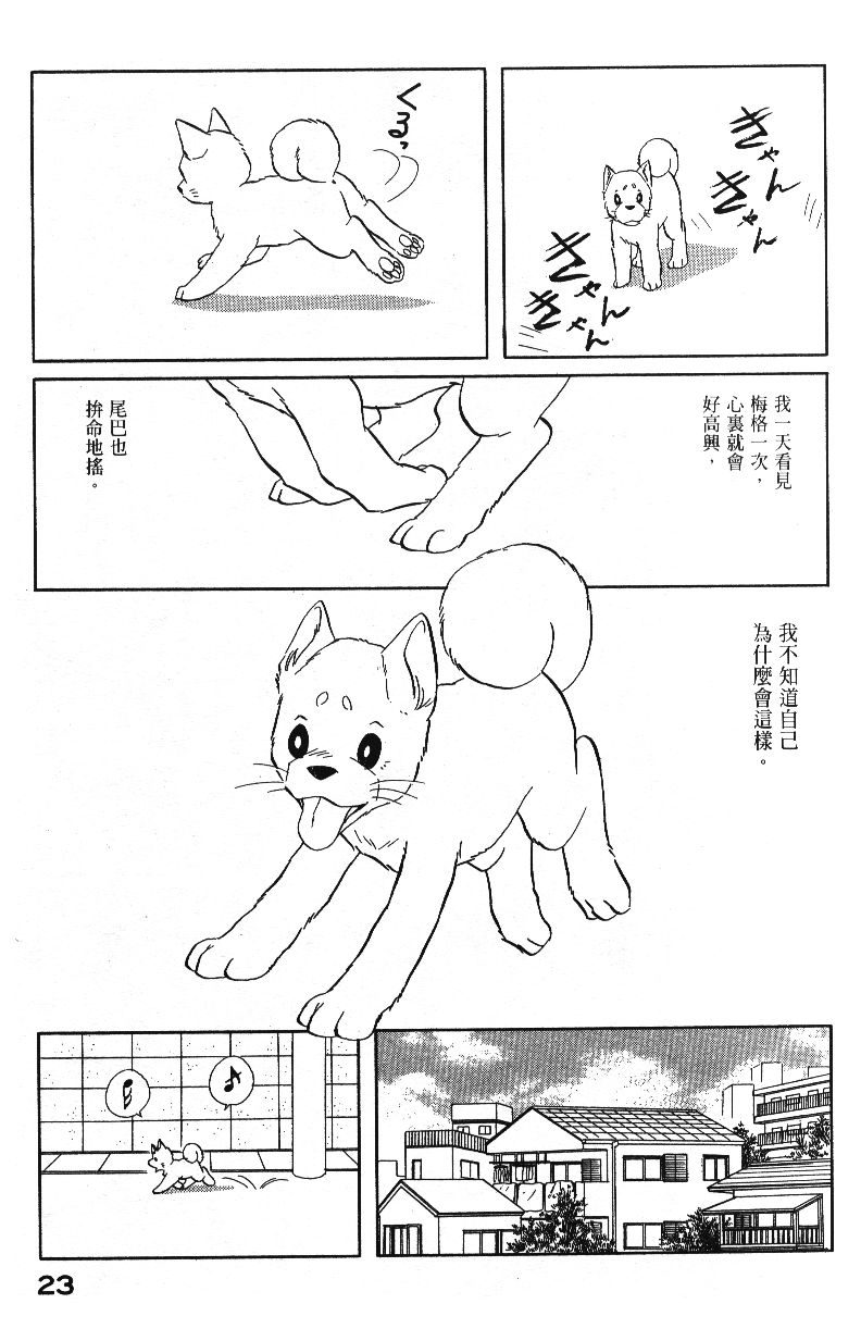 柴王韩漫全集-VOL04无删减无遮挡章节图片 