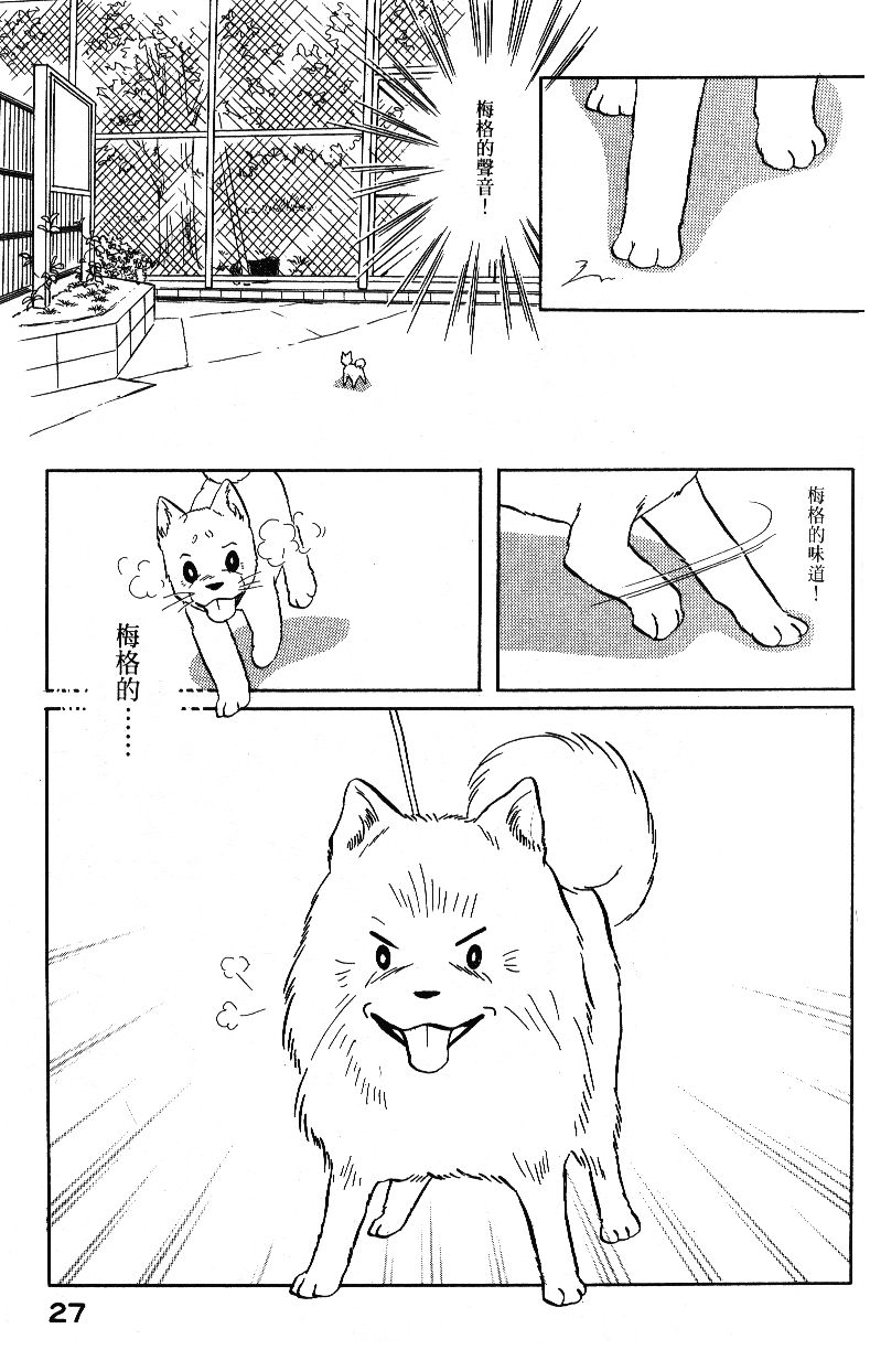 柴王韩漫全集-VOL04无删减无遮挡章节图片 