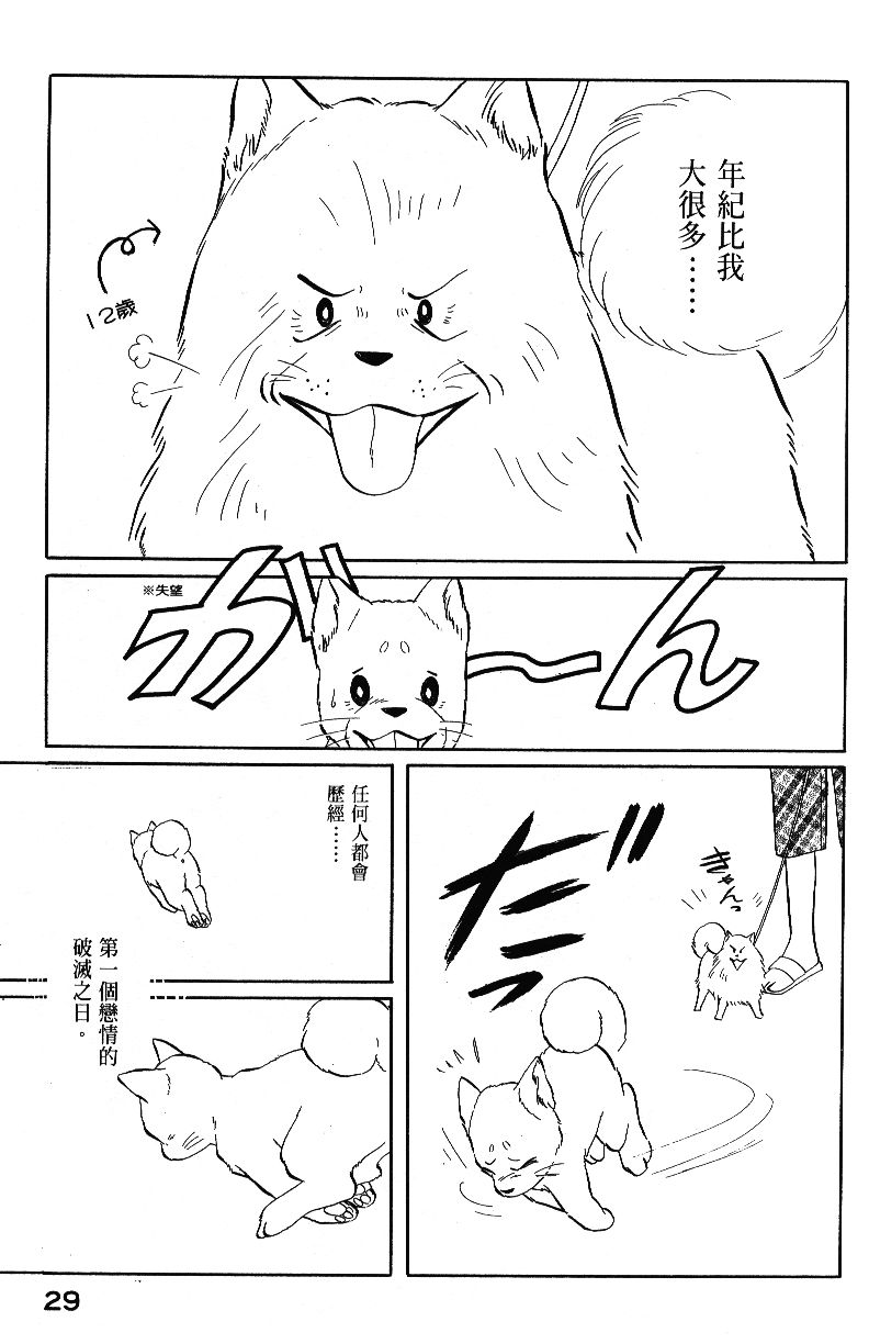 柴王韩漫全集-VOL04无删减无遮挡章节图片 