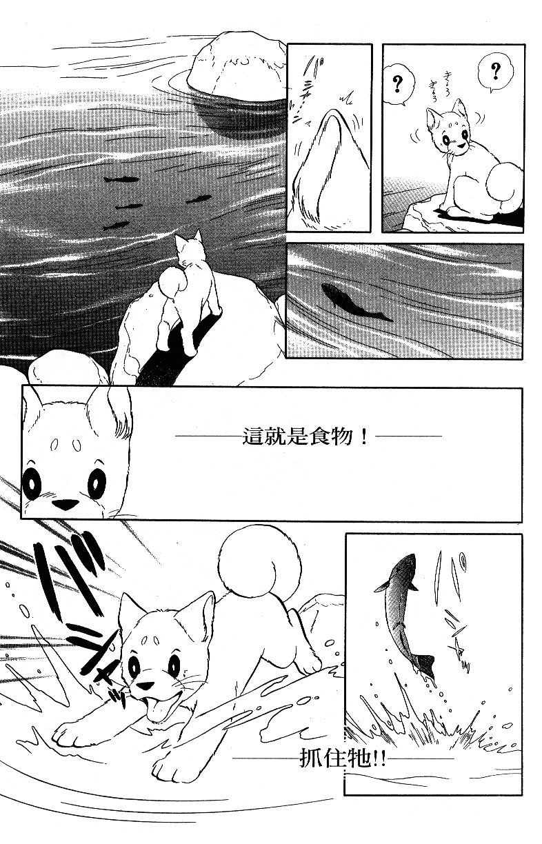 柴王韩漫全集-VOL04无删减无遮挡章节图片 
