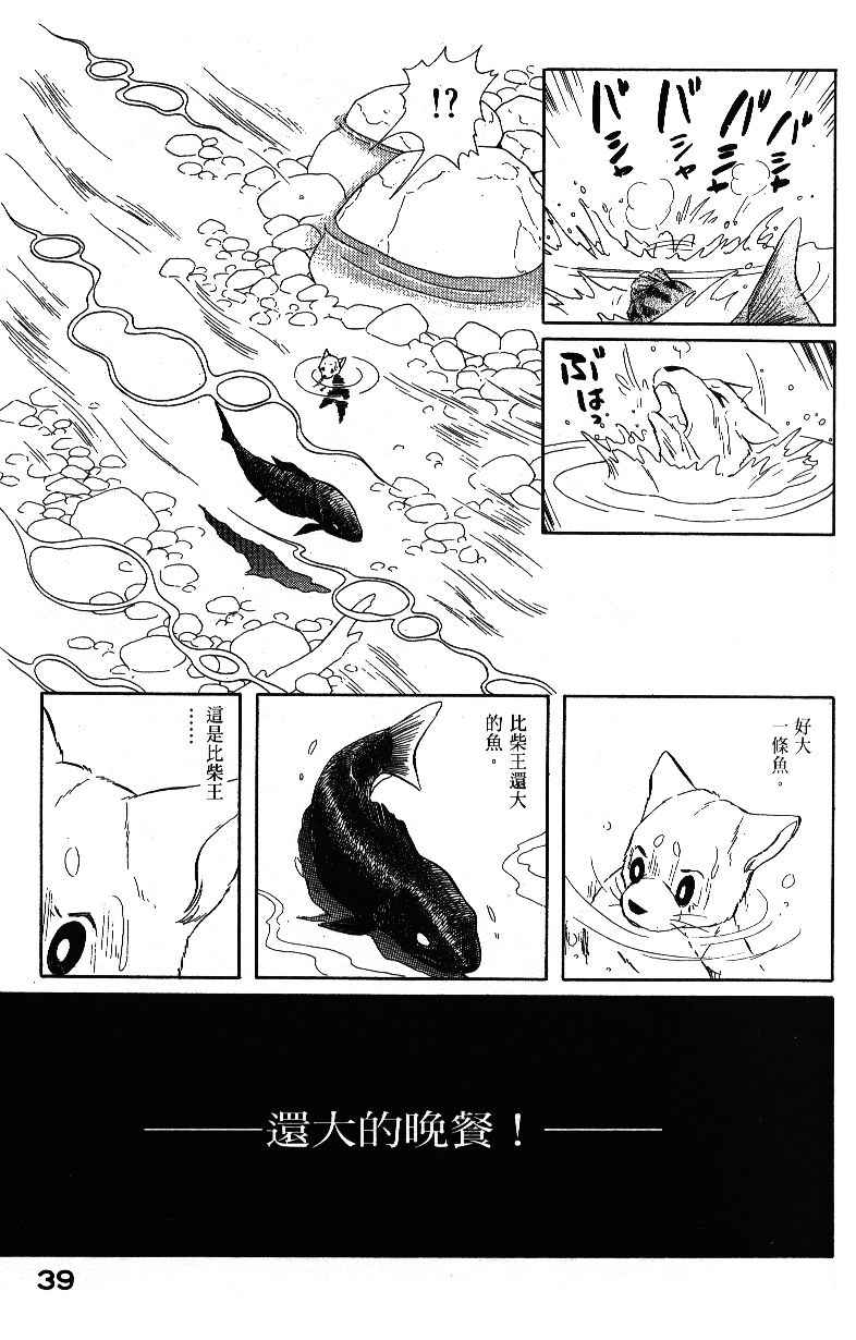 柴王韩漫全集-VOL04无删减无遮挡章节图片 