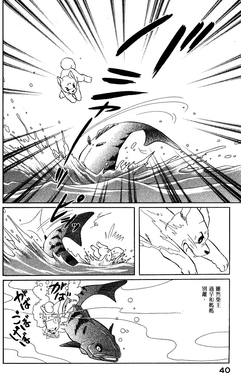 柴王韩漫全集-VOL04无删减无遮挡章节图片 