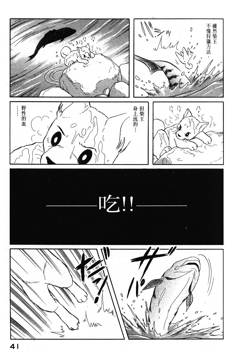 柴王韩漫全集-VOL04无删减无遮挡章节图片 