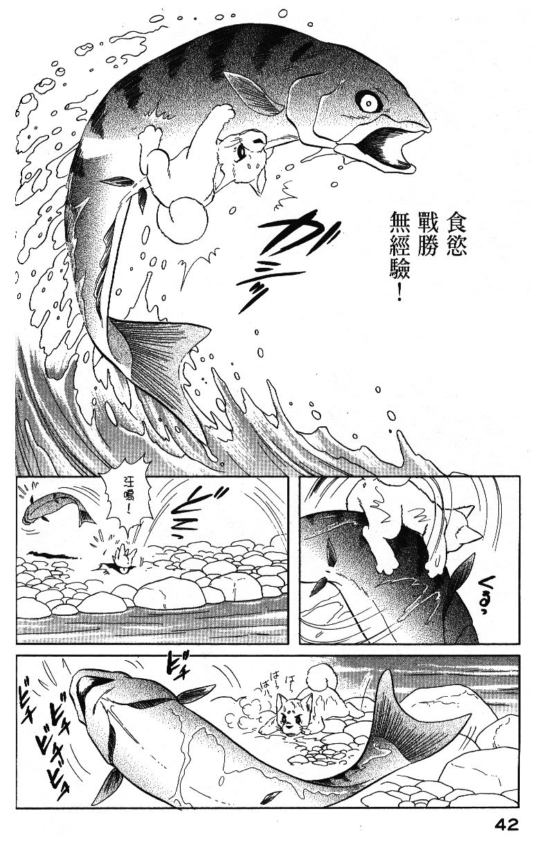 柴王韩漫全集-VOL04无删减无遮挡章节图片 