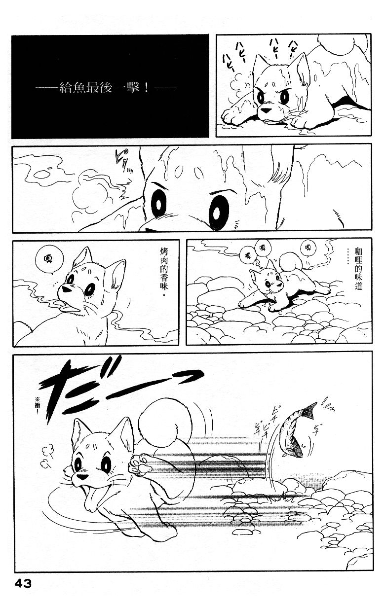 柴王韩漫全集-VOL04无删减无遮挡章节图片 